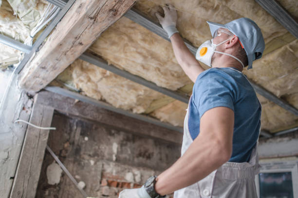 Best Residential Insulation in Chevy Chase Village, MD