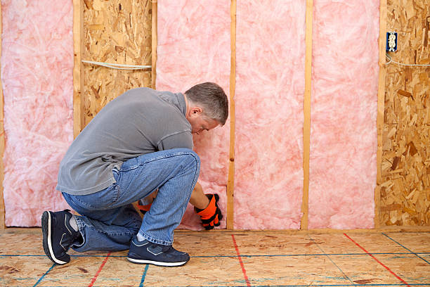 Professional Insulation Contractor in MD