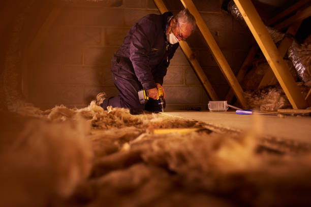 Professional Insulation Contractor in MD